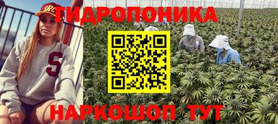 гашик Гусь-Хрустальный