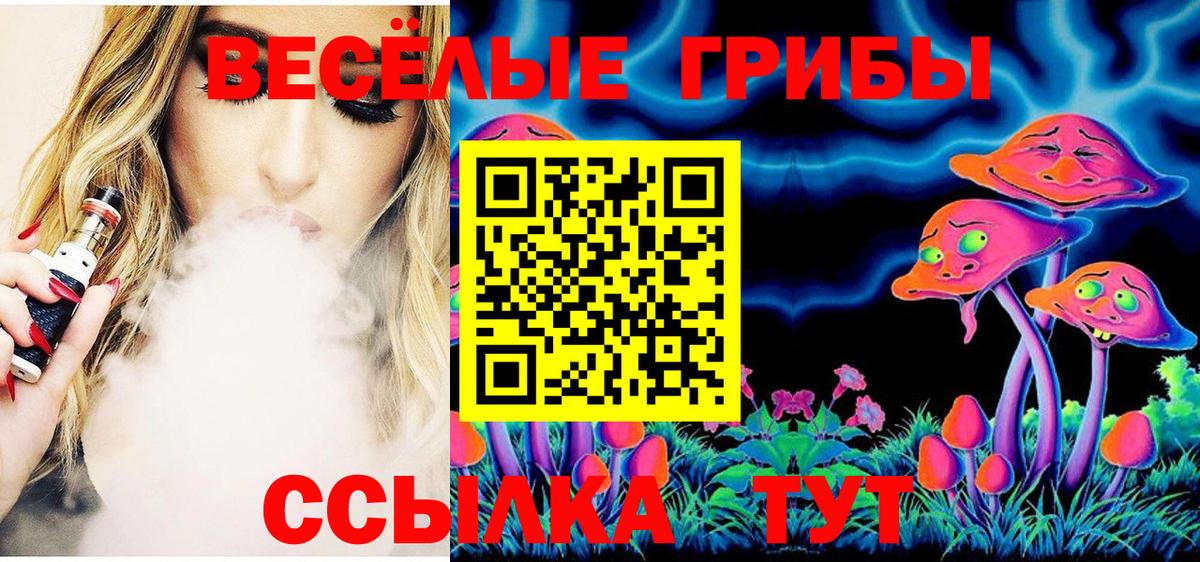 Псилоцибиновые грибы прущие грибы Новоалтайск