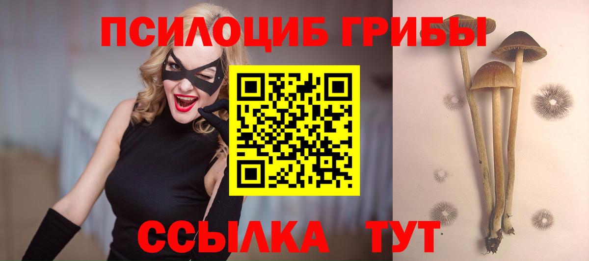 Новоалтайск  Галлюциногенные грибы мицелий  Вход с VPN 